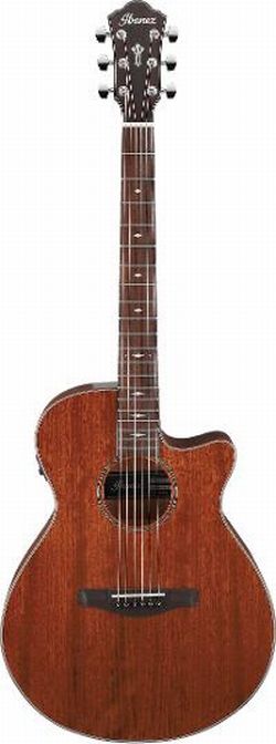 Ibanez AEG220