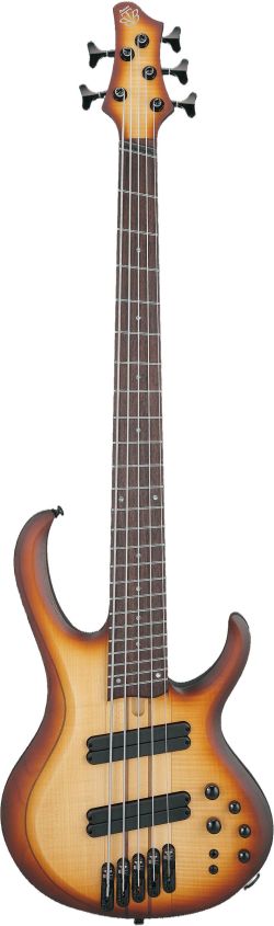 Ibanez