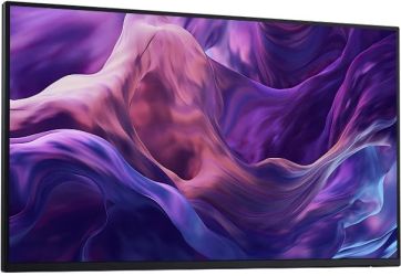 Dell P2425HE WOST