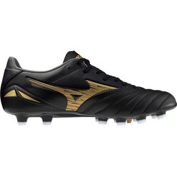 Mizuno