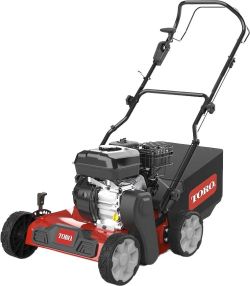 Toro Benzin-Vertikutierer 54610