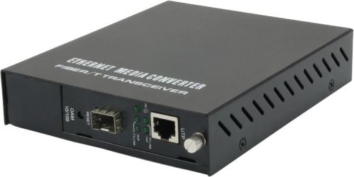 LevelOne FVM-1000