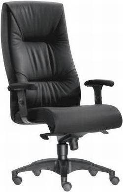 Sitwell Hochlehner Turbo L Sitwell Hochlehner Turbo L