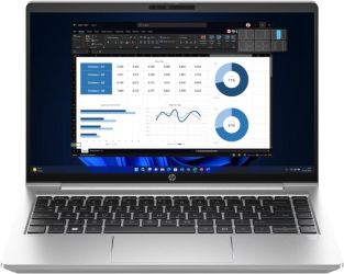 HP ProBook 445 G10 (9Y6V5AT)