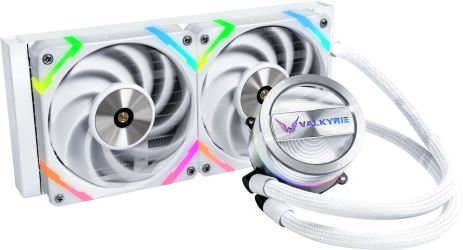 Valkyrie Dragonfang 240