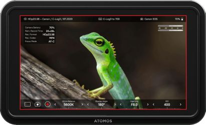 Atomos Shinobi II