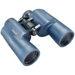 Bushnell