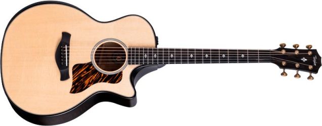 Taylor 50th Anniversary Builder's Edition 314ce LTD