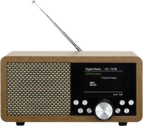 Dynavox DBT600