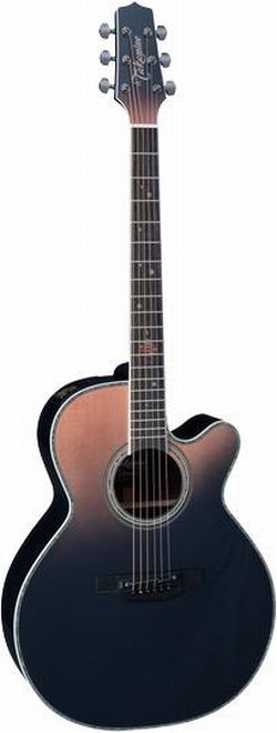 Takamine Limited 2024