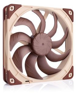 Noctua