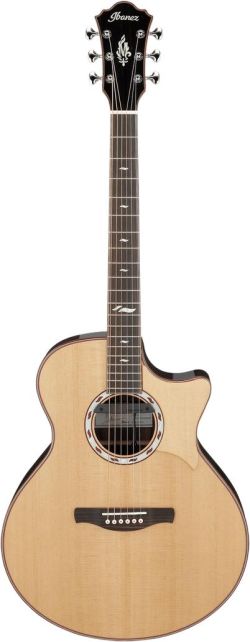 Ibanez MRC10