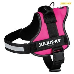 Julius-K9