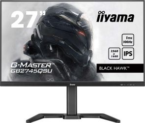 iiyama