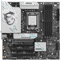 MSI