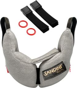 Sandini