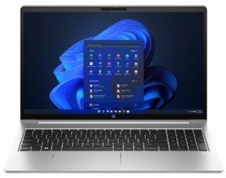 HP ProBook 455 G10 (9Y6V6AT)