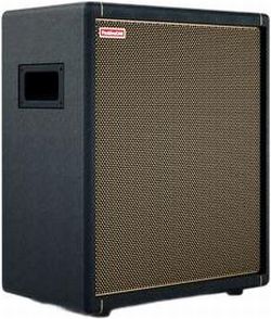Positive Grid Spark CAB