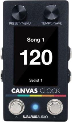 Walrus Audio Canvas Clock