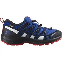 Salomon