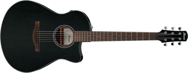 Ibanez AAM340CE