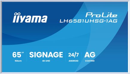 iiyama