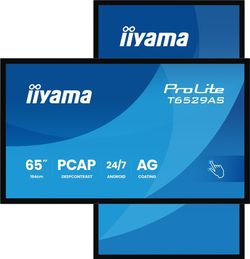 iiyama