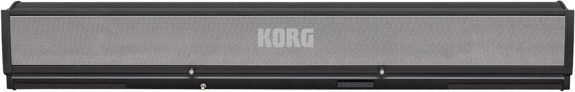 Korg PaAS2 MK2