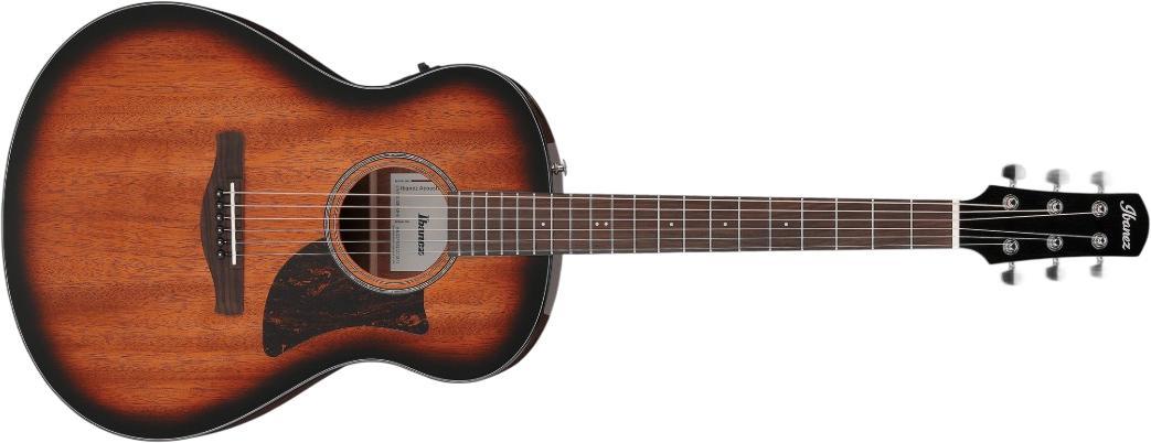 Ibanez AAM140E