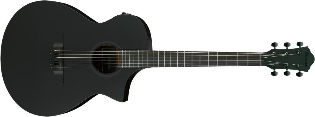 Ibanez AEWC621-BOT