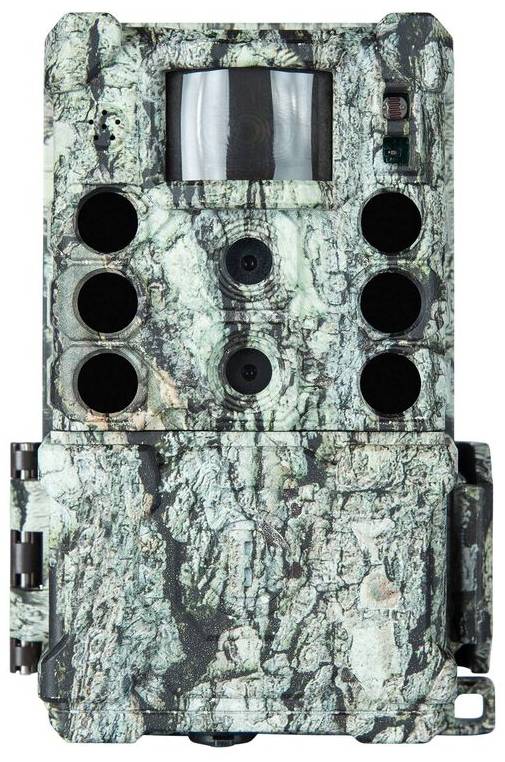 Bushnell