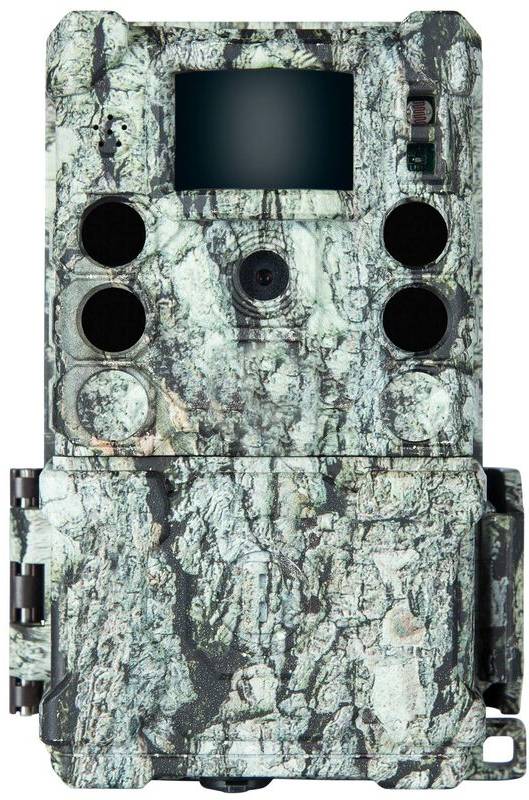 Bushnell