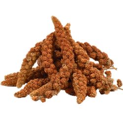 Lyra Pet Kolbenhirse rot 15 kg Lyra Pet Kolbenhirse rot 15 kg