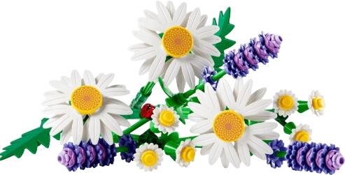 LEGO Botanicals Gänseblümchen (11508) LEGO Botanicals Gänseblümchen (11508)