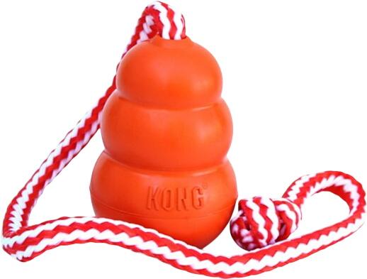 KONG Kong Aqua L KONG Kong Aqua L