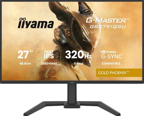 iiyama
