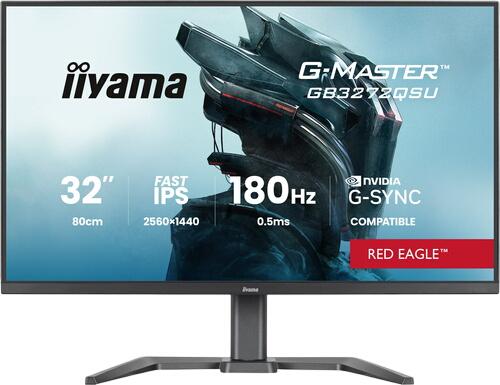 iiyama