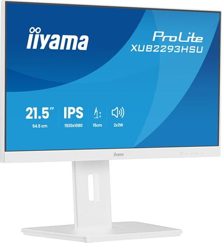 iiyama