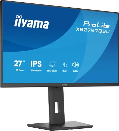 iiyama