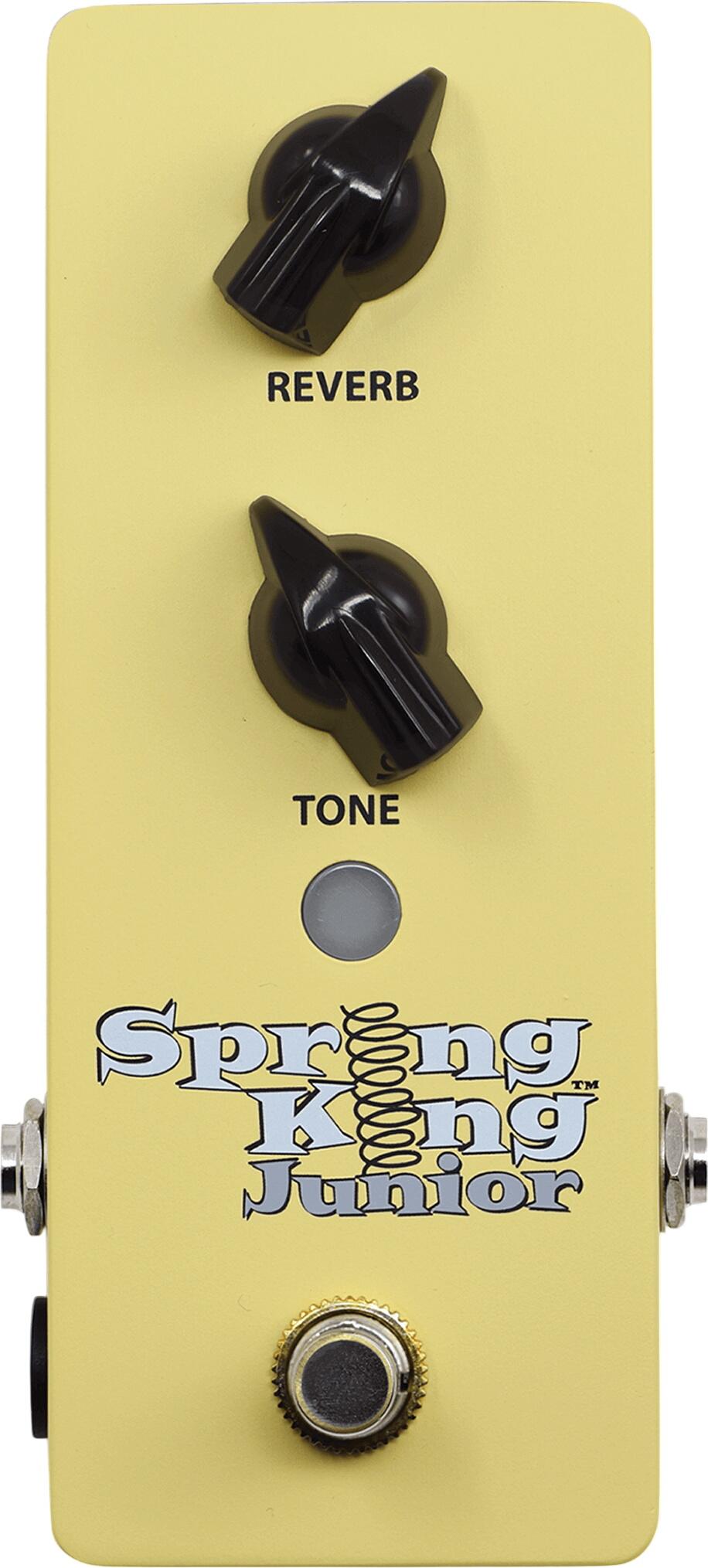 Danelectro
