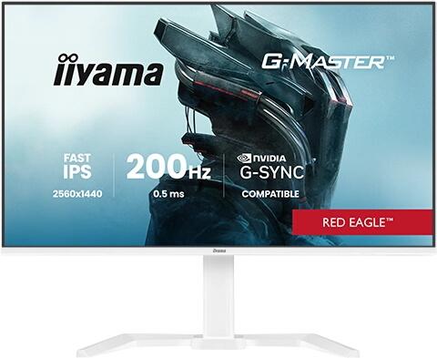 iiyama