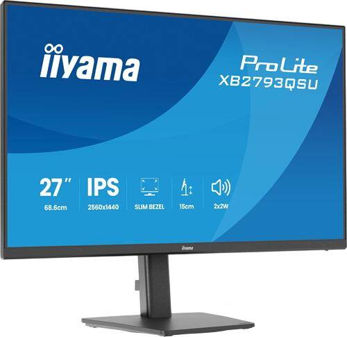 iiyama
