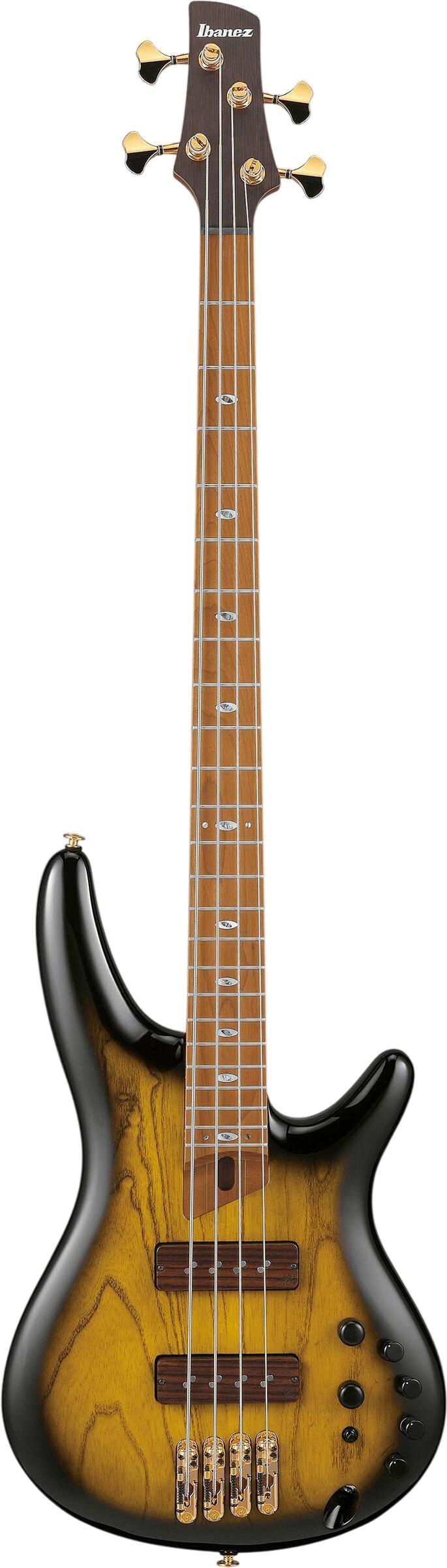 Ibanez