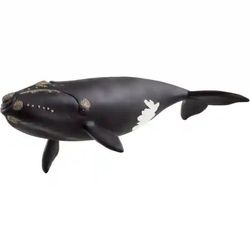 Schleich Wild Life - Nordatlantischer Glattwal (14878) Schleich Wild Life - Nordatlantischer Glattwal (14878)