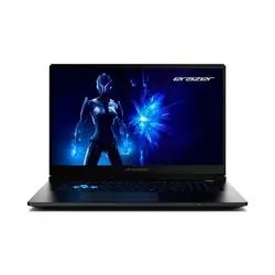 Medion Erazer Deputy 15 P1 (MD62761) Medion Erazer Deputy 15 P1 (MD62761)