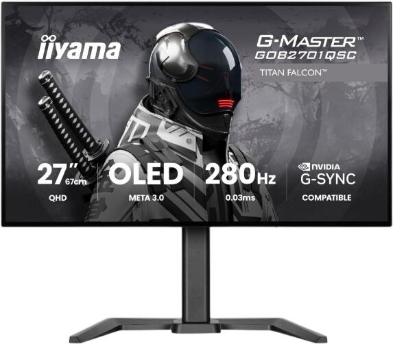 iiyama