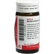 Wala BERBERIS/SEPIA COMP GLOBULI, 20 g Wala BERBERIS/SEPIA COMP GLOBULI, 20 g