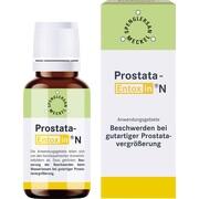 Spenglersan PROSTATA ENTOXIN N TROPFEN, 100 ml Spenglersan PROSTATA ENTOXIN N TROPFEN, 100 ml
