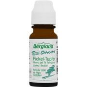 Bergland