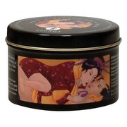 Shunga